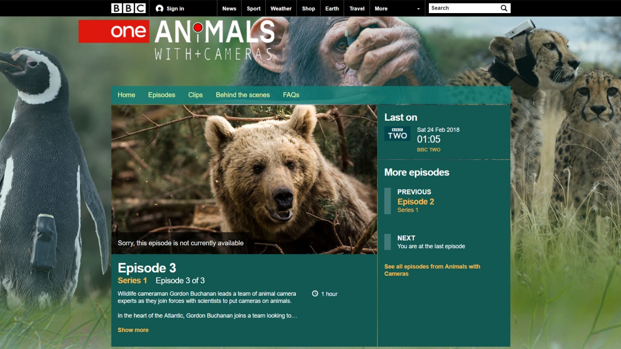 animals-with-cameras-bbc-one.jpg